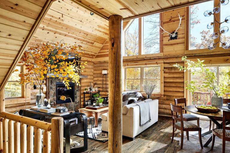 Cabin  McHenry
