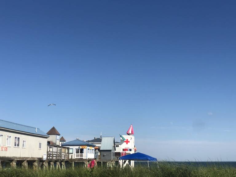 Cottage  Pine Point