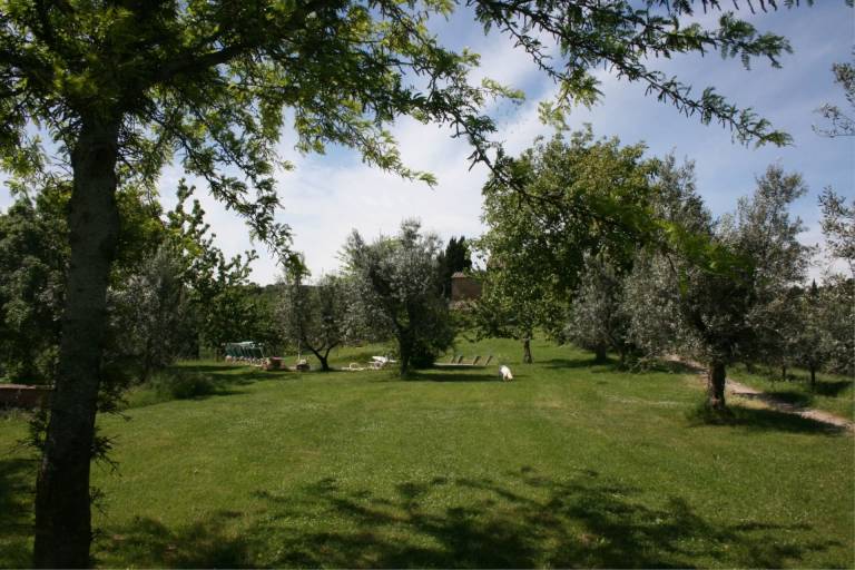 foto16