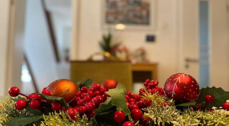 Beautiful apartment | Dogs allowed in Brasov