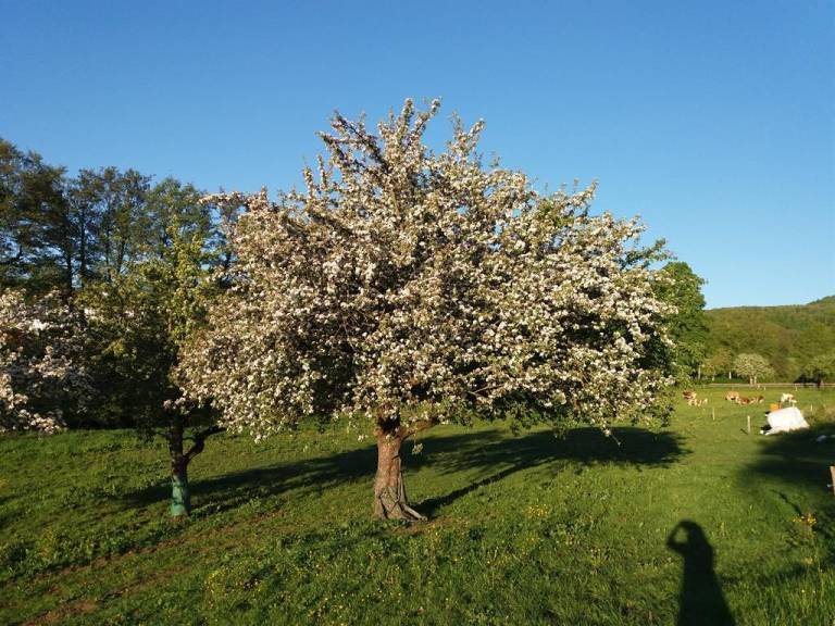 foto11