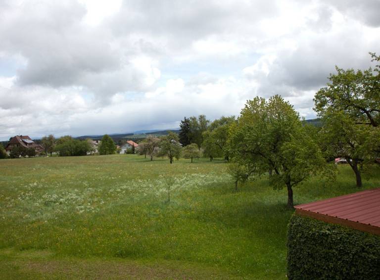 Ferienwohnung Donaueschingen