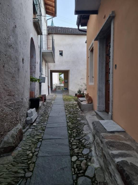 foto45