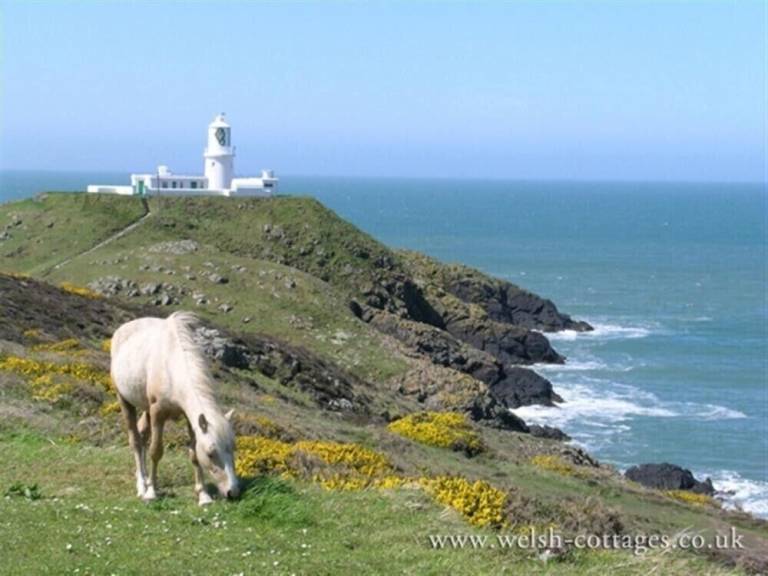 Cottage Fishguard