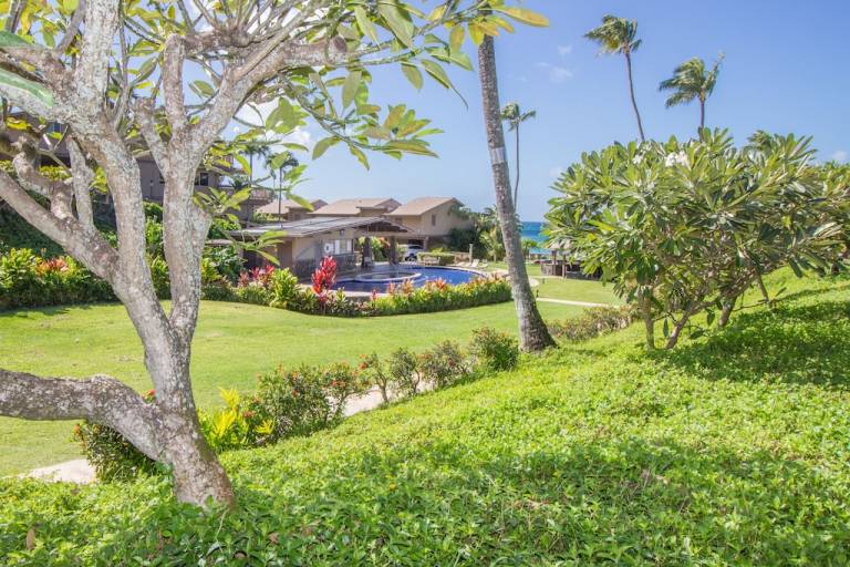 Condo Kapalua