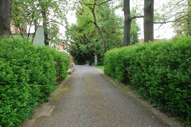 foto13