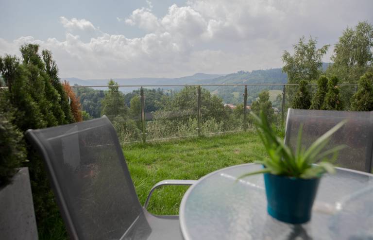 Wonderful rental apartment with terrace | Mountain view | Dogs allowed — photo 4