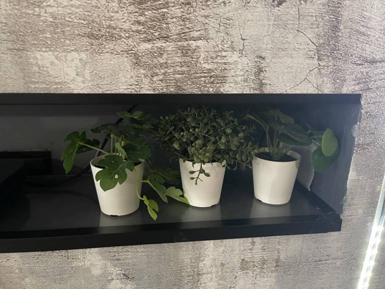 foto11