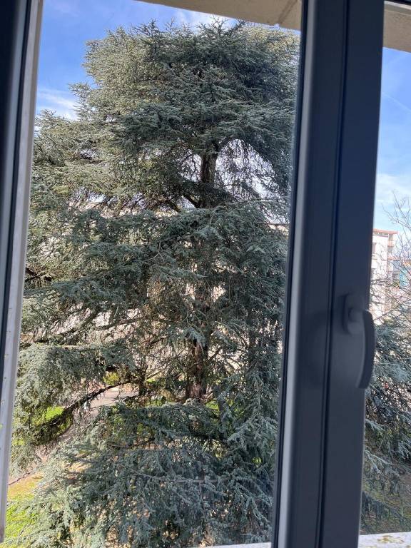 foto20