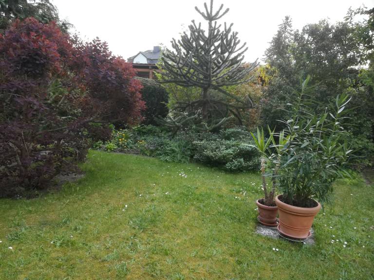 foto11