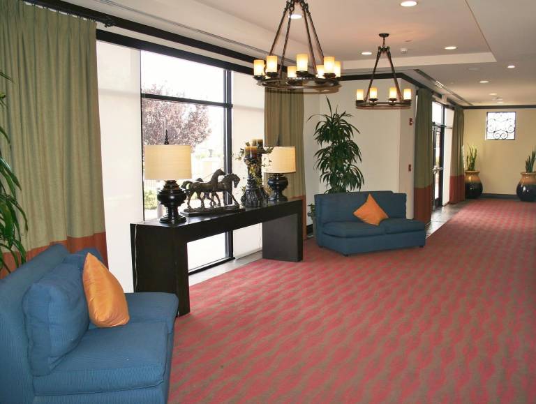 Hilton Garden Inn El Paso / University — photo 5