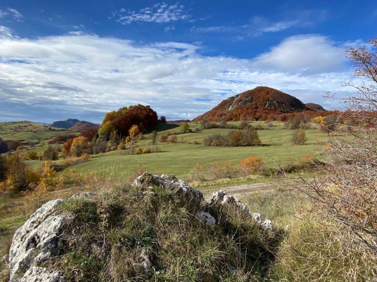 Appartamento Capracotta