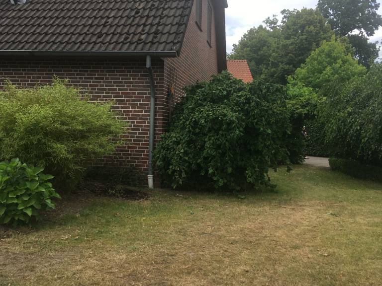 foto30