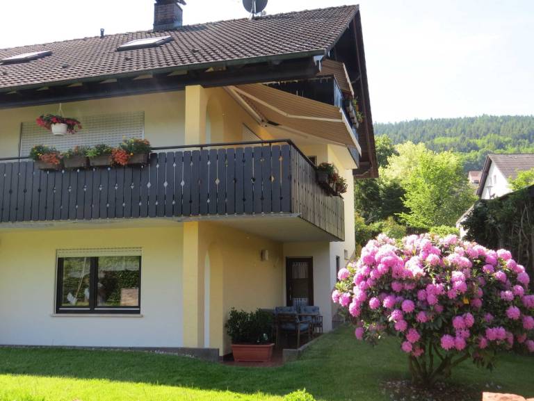 Apartment  Amorbach
