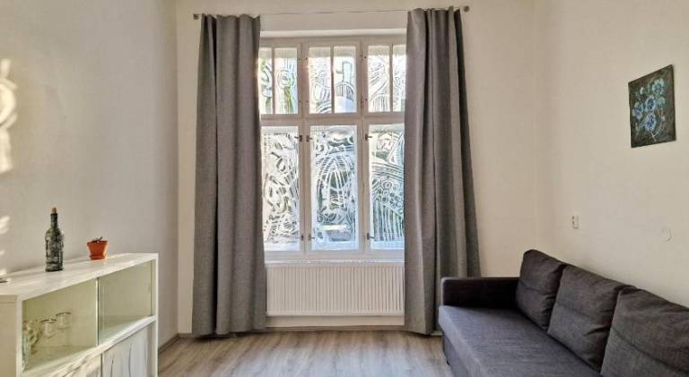 Pleasant apartment | Dogs allowed in Karlovy Vary