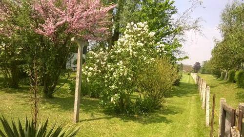 foto4