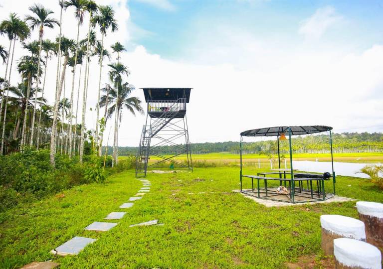 Wildsidewayanad — photo 4