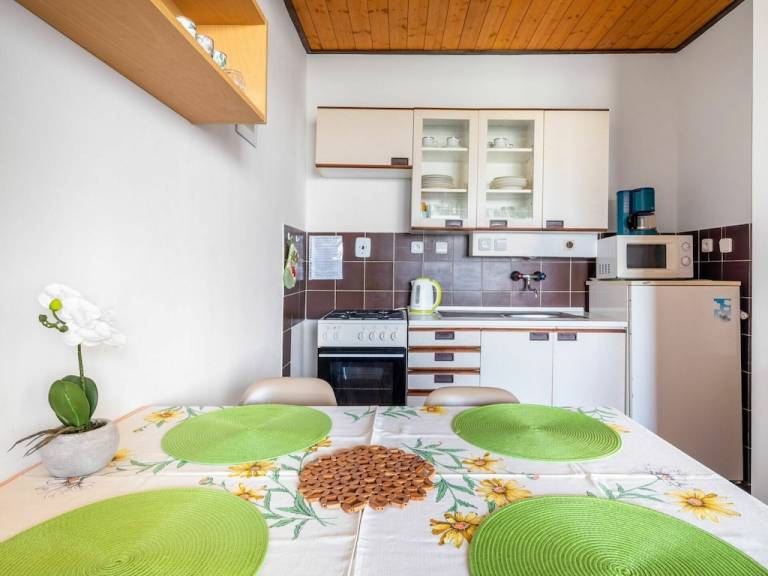 Ferienwohnung Slapy nad Vltavou