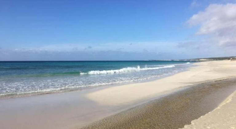 Holiday apartment | Beach nearby | Pet-friendly in Alayor