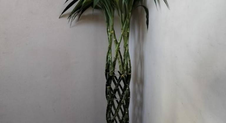 Casa Klos - Quartos amplos — photo 3