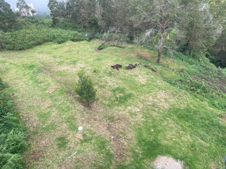 Villa with yard — photo 5
