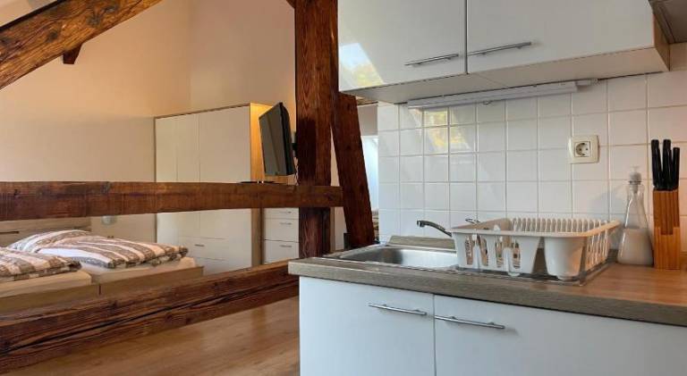 Rental apartment with garden | Near Ljubljana Castle — photo 5