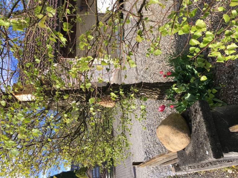 foto14