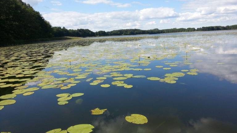 Ferienwohnung  Schwarzer See