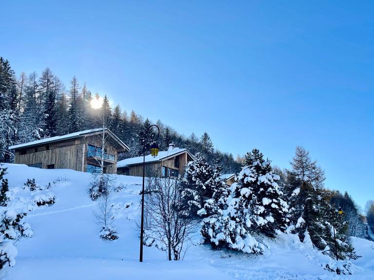 Chalet  Aime-la-Plagne