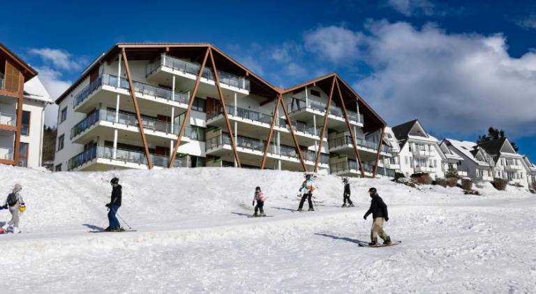 Lovely serviced apartment with patio, sauna & hot tub | Ski nearby | Dogs allowed in Winterberg
