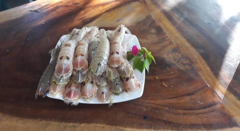 foto41