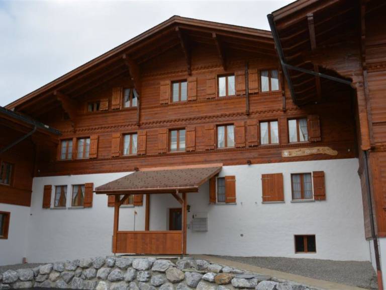 Apartment  Gstaad