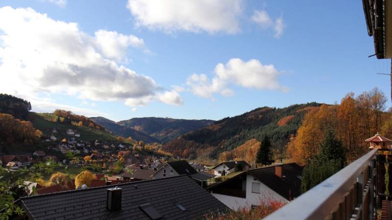 Ferienwohnung Seebach