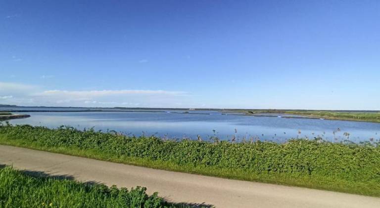 foto20