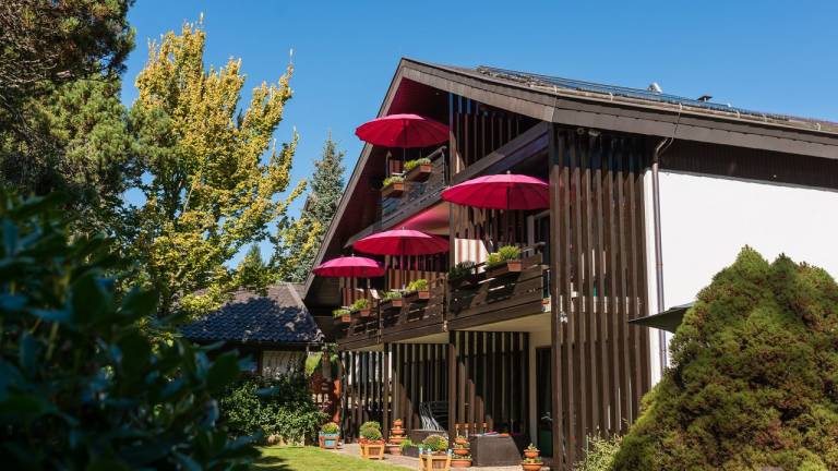 Ferienwohnung  Bad Wildbad