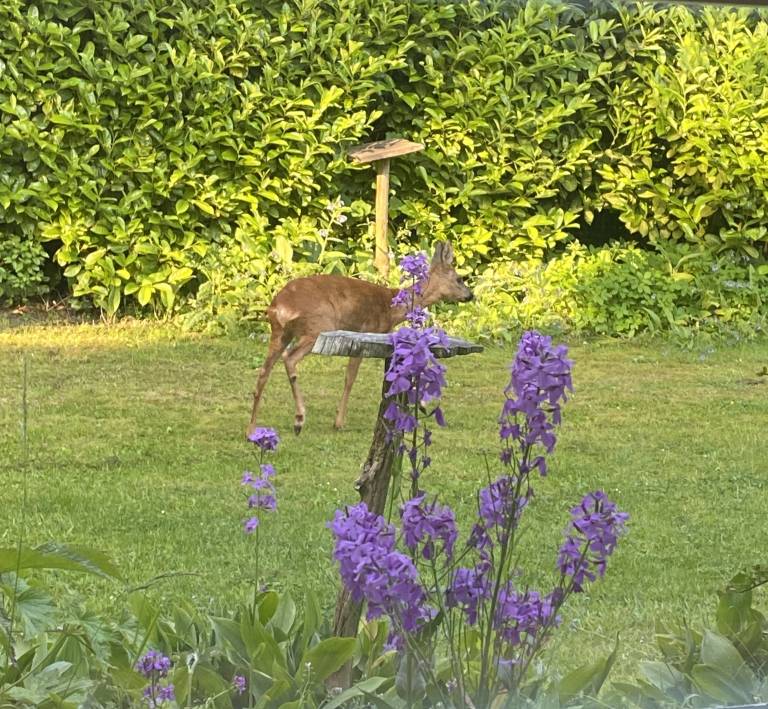 foto37
