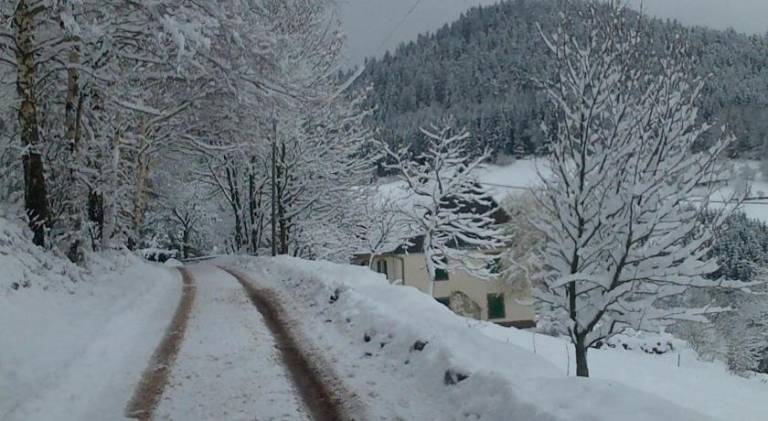 Maison de vacances Lac Blanc