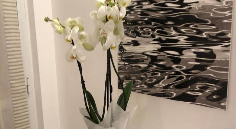 Wonderful rental apartment | Pet-friendly in Camogli
