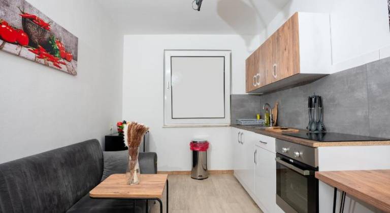Nice holiday apartment with patio | Perfect for remote work | Pets are welcome — photo 3
