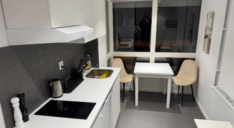 Serviced apartment for 3 persons — photo 5