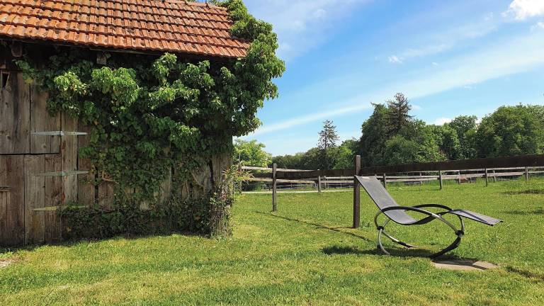 Appartement Murist