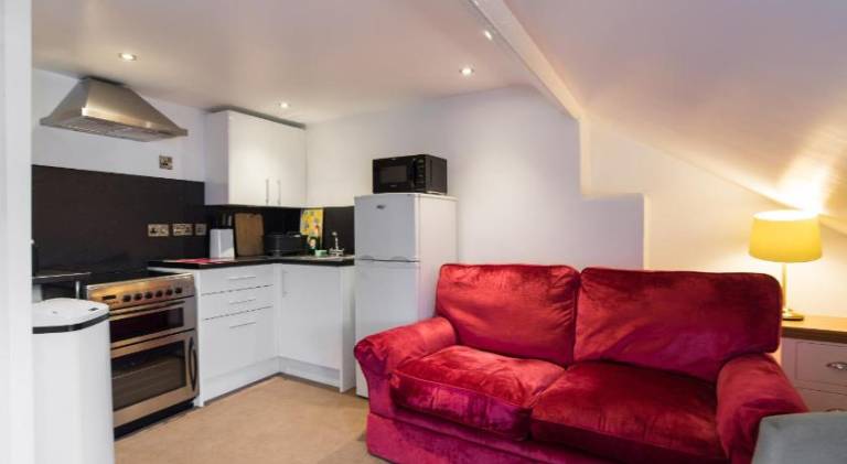 Pleasant serviced apartment with sauna & hot tub | Beach nearby | Perfect for remote work | Dogs allowed in Aberystwyth