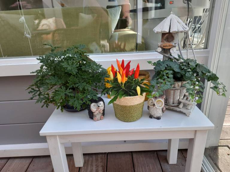 foto31