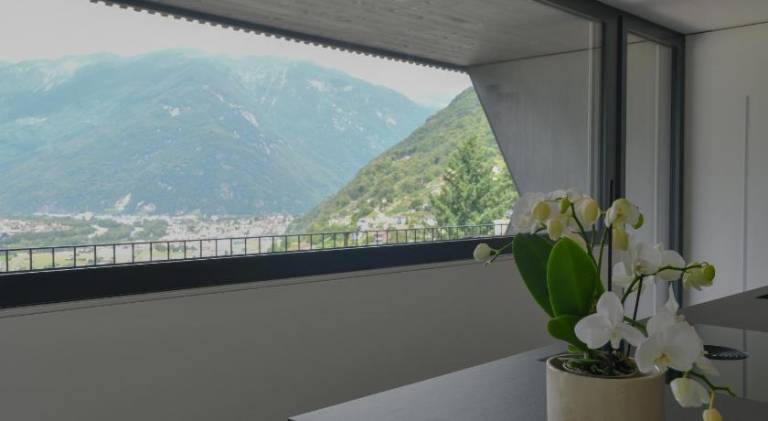 The Window — photo 4