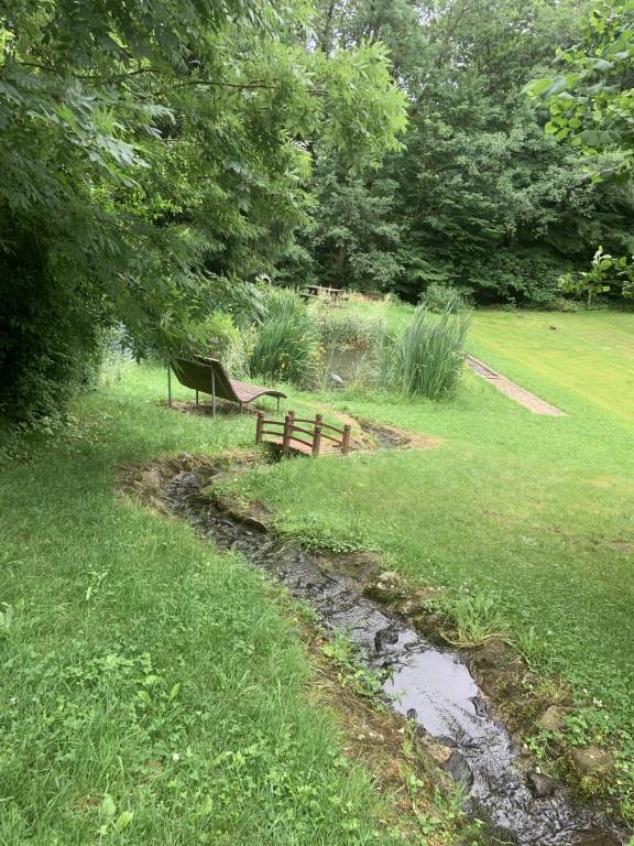 foto19