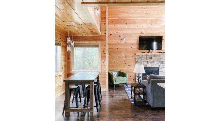 Splash of Moonshine -heated indoor pool, hot tub, arcade game room — photo 3