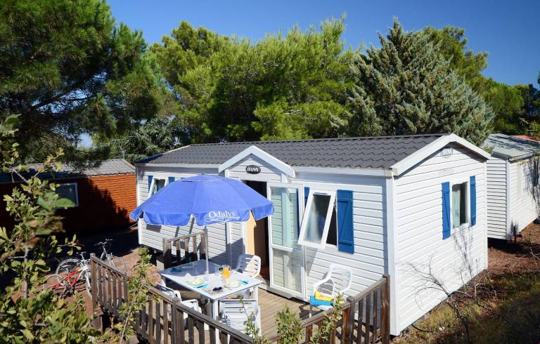 Children-friendly holiday park with pool & terrace | Pet-friendly — photo 5