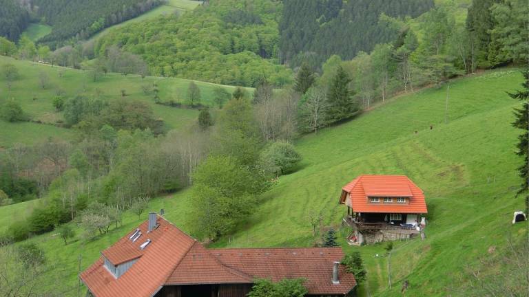 foto19