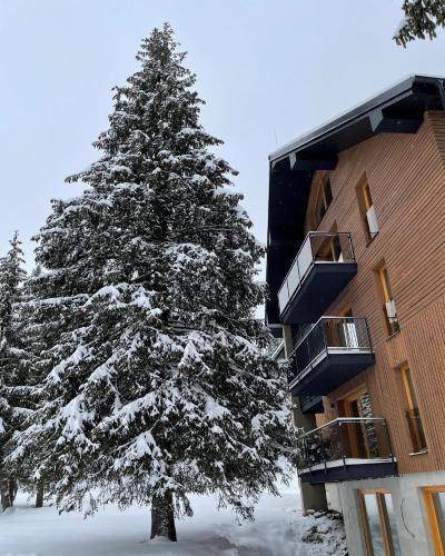 Apartmán Novoť