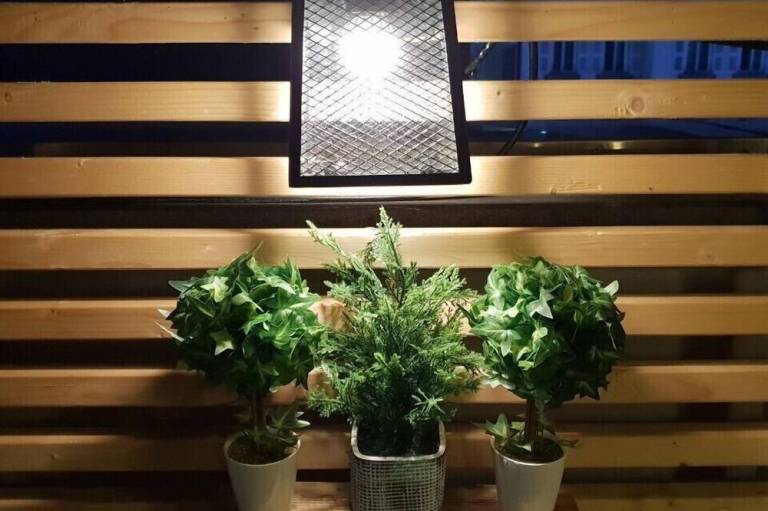 foto26